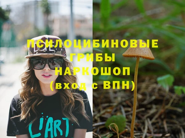 трава Белокуриха