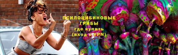 трава Белокуриха