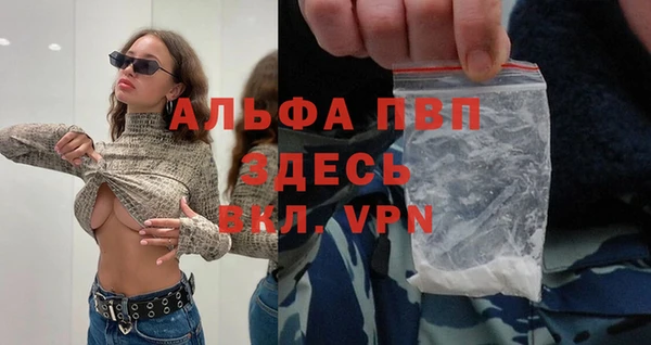 трава Белокуриха
