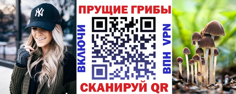 Галлюциногенные грибы Magic Shrooms  Купить закладки  Геленджик 